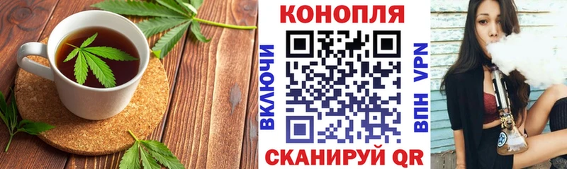 как найти закладки  Змеиногорск  Cannafood конопля 