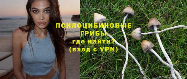 СК Володарск